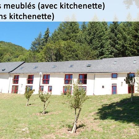 Gite Du Haut Cantal - Appartements Meubles Avec Kitchenette Et Chambres Sans Kitchenette Condat  Zewnętrze zdjęcie