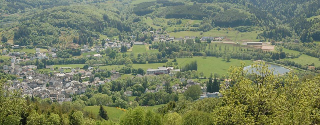 Gite Du Haut Cantal - Appartements Meubles Avec Kitchenette Et Chambres Sans Kitchenette Condat  Zewnętrze zdjęcie
