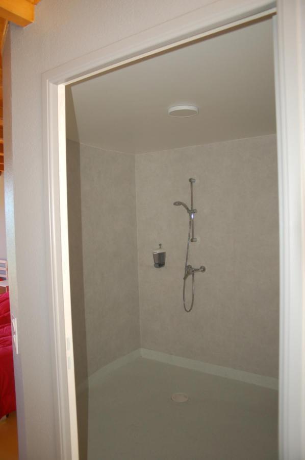 Gite Du Haut Cantal - Appartements Meubles Avec Kitchenette Et Chambres Sans Kitchenette Condat  Zewnętrze zdjęcie