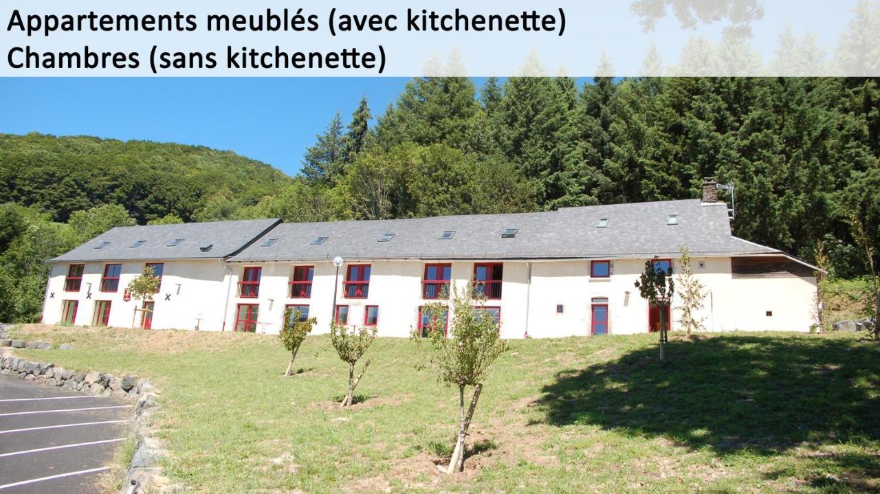 Gite Du Haut Cantal - Appartements Meubles Avec Kitchenette Et Chambres Sans Kitchenette Condat  Zewnętrze zdjęcie
